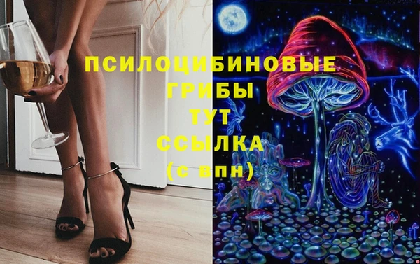 МДПВ Алзамай